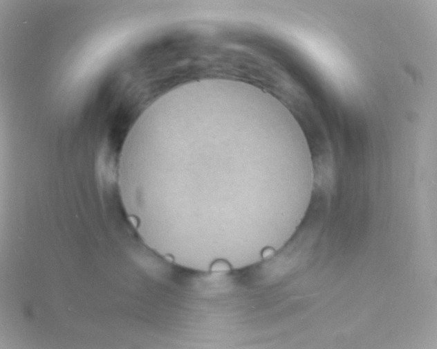 X0000115840431200911271224