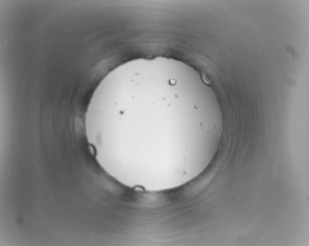 X0000115840432200911271224