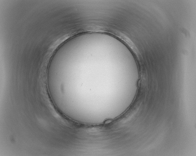 X0000115840433200911271224