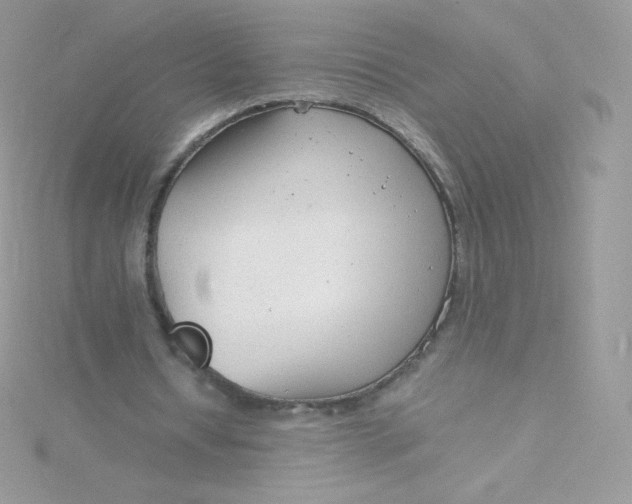 X0000115840434200911271224