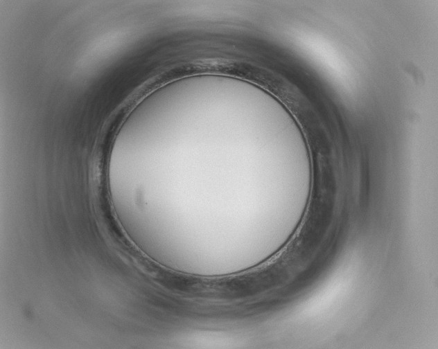 X0000115840435200911271224