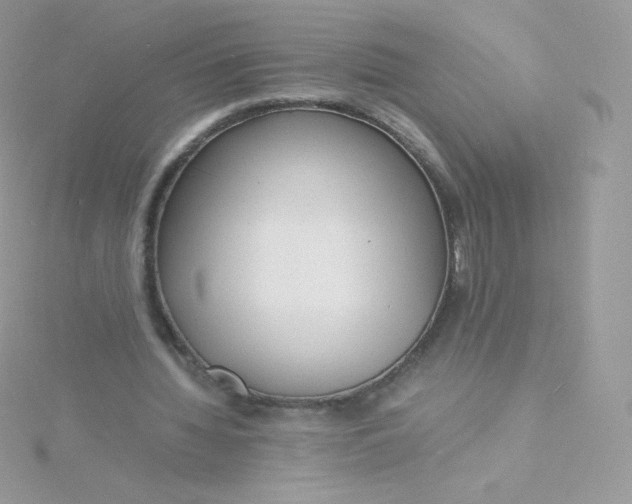 X0000115840436200911271224