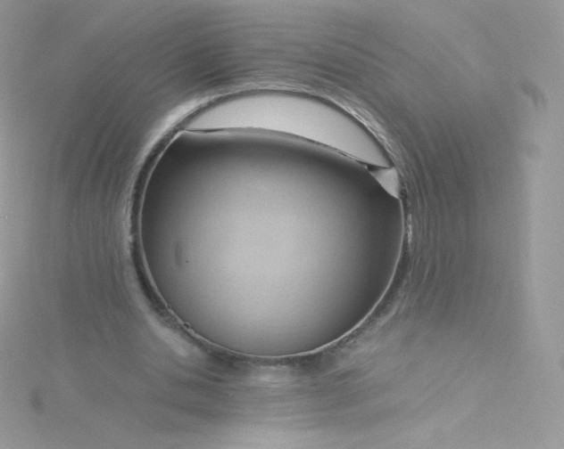 X0000115840438200911271224