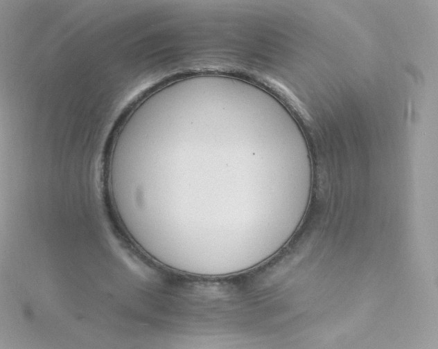 X0000115840439200911271224