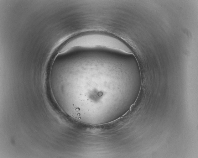 X0000115840440200911271224