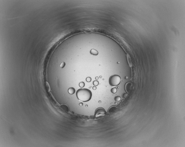 X0000115840443200911271224