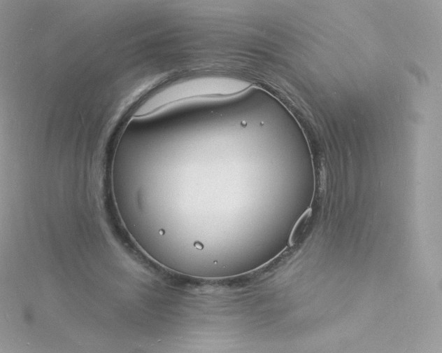 X0000115840444200911271224