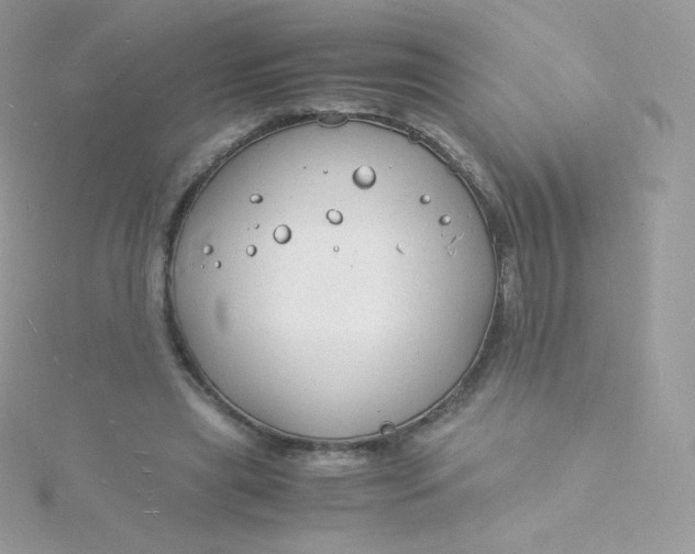 X0000115840445200911271224