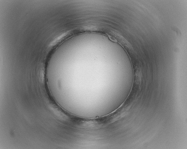 X0000115840446200911271224