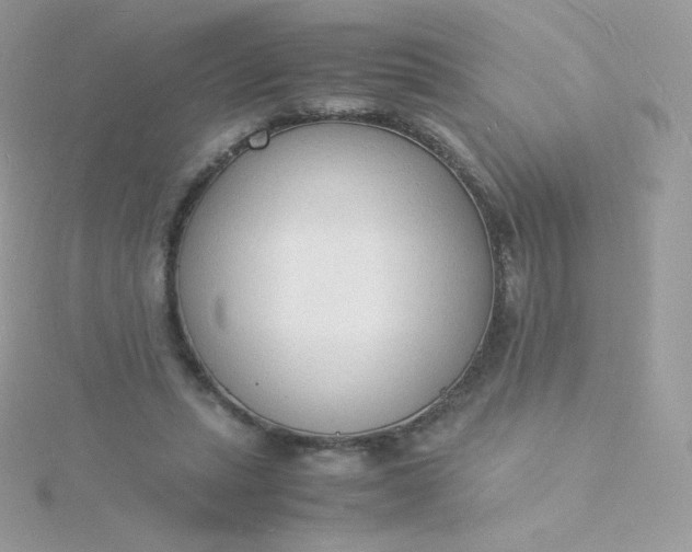 X0000115840447200911271224