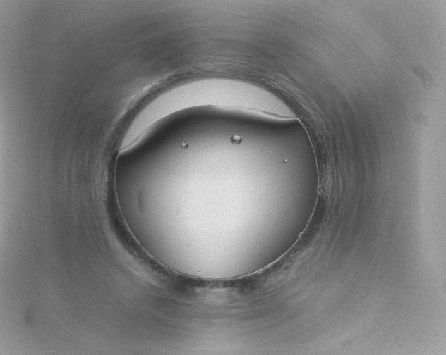 X0000115840448200911271224