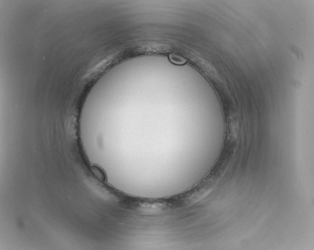 X0000115840450200911271224