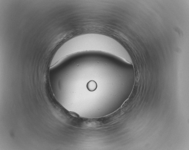 X0000115840452200911271224