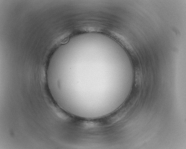 X0000115840453200911271224