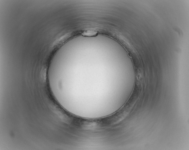 X0000115840454200911271224