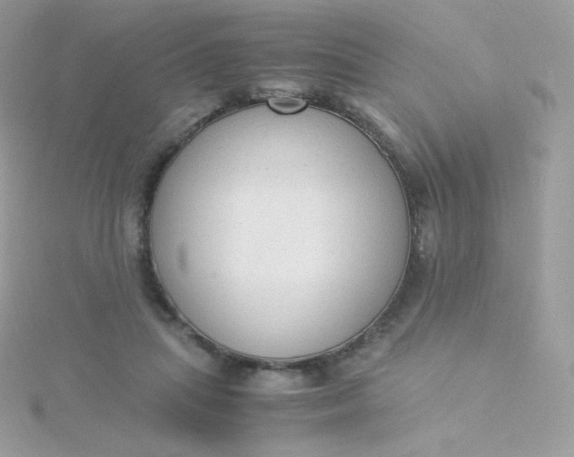 X0000115840455200911271224