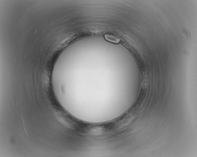 X0000115840456200911271224