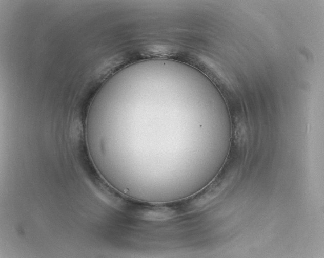 X0000115840459200911271224