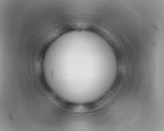 X0000115840460200911271224