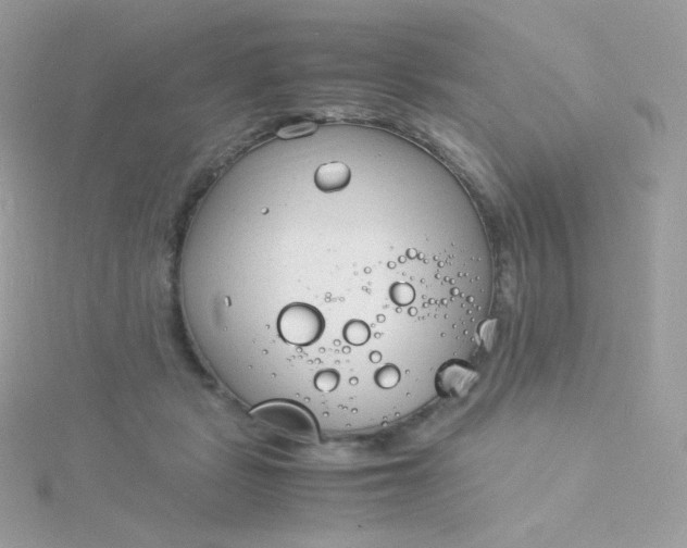 X0000115840461200911271224