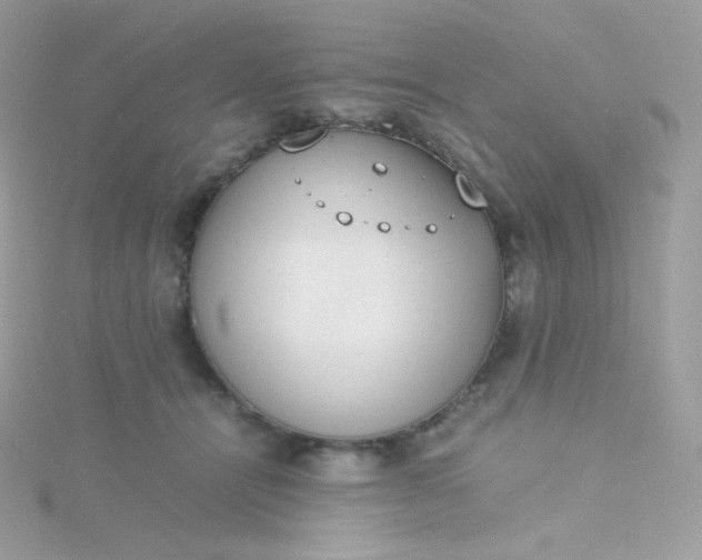 X0000115840464200911271224