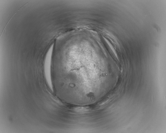 X0000115840465200911271224