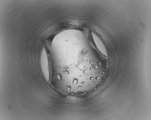 X0000115840467200911271224