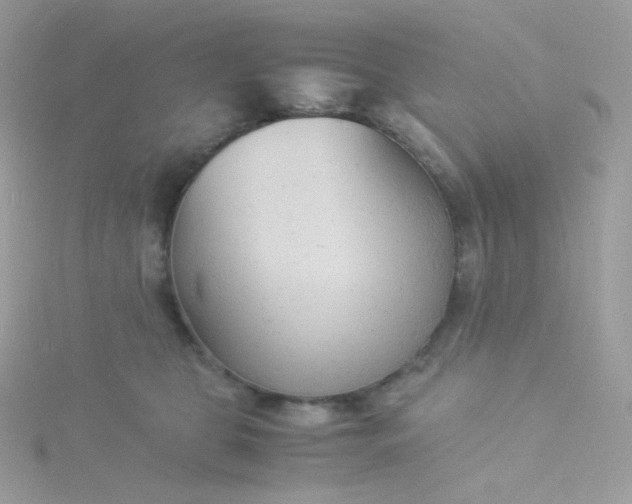 X0000115840469200911271224