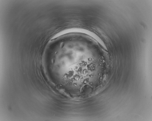 X0000115840471200911271224