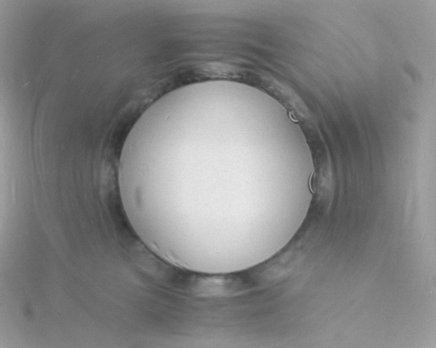 X0000115840473200911271224