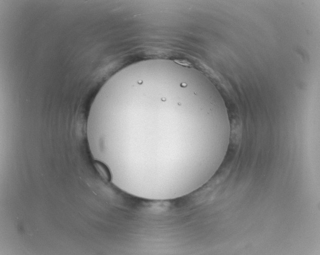 X0000115840474200911271224