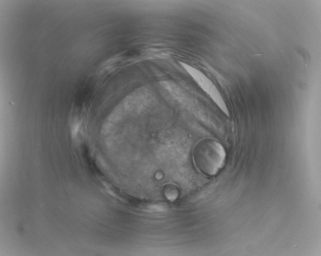 X0000115840475200911271224