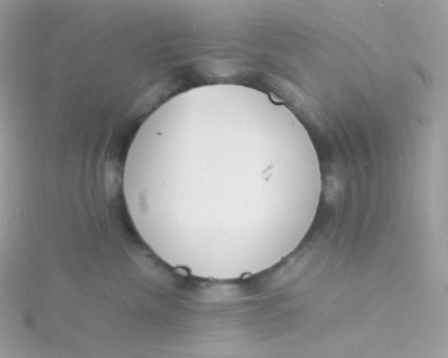 X0000115840476200911271224