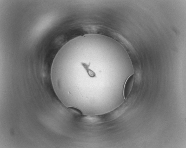 X0000115840477200911271224