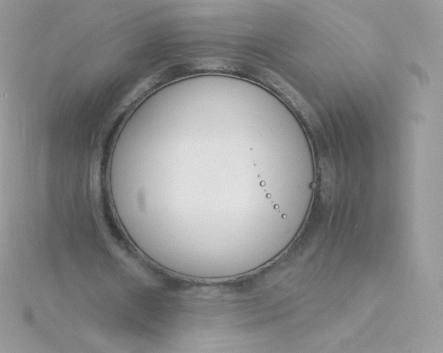 X0000115840482200911271224