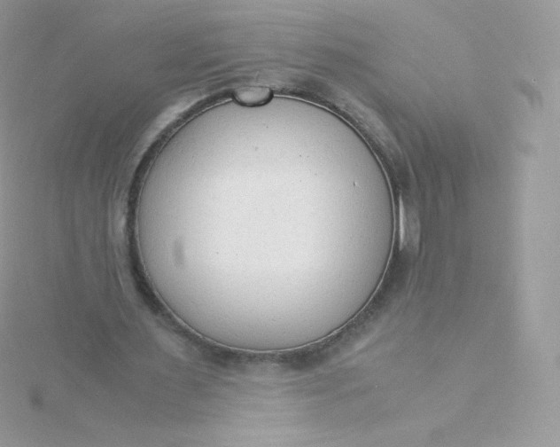 X0000115840483200911271224