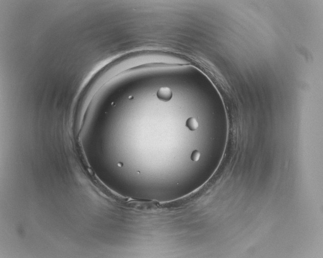 X0000115840484200911271224