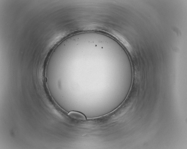 X0000115840485200911271224