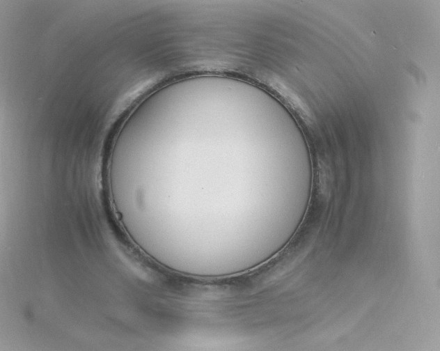 X0000115840486200911271224