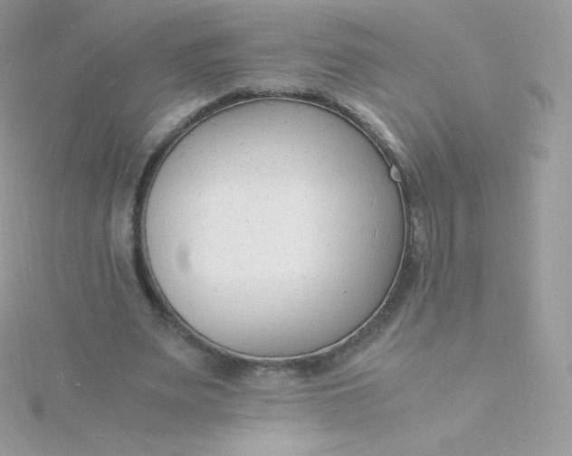 X0000115840487200911271224