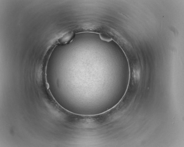 X0000115840492200911271224