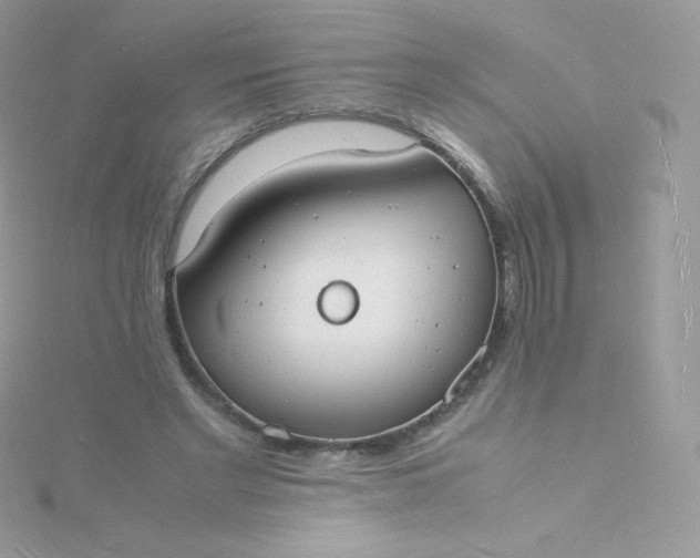 X0000115840493200911271224