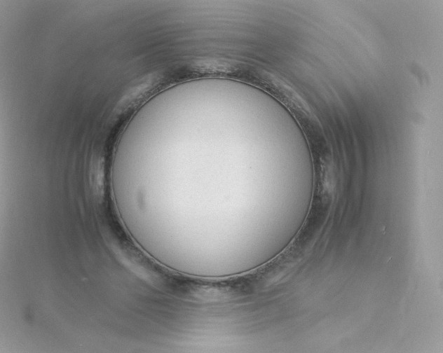 X0000115840494200911271224