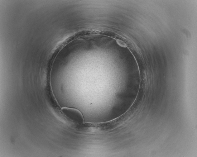 X0000115840496200911271224