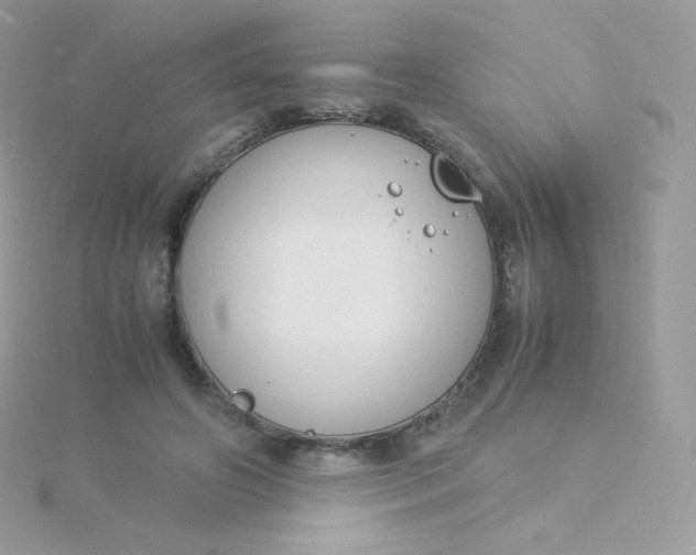 X0000115840498200911271224