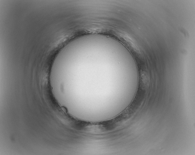 X0000115840499200911271224