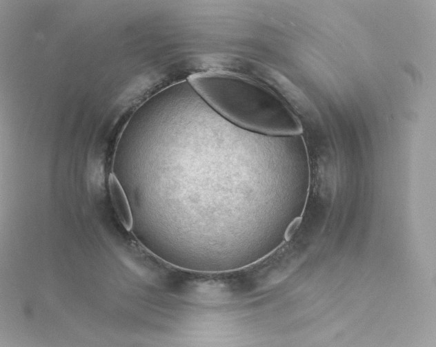 X0000115840500200911271224