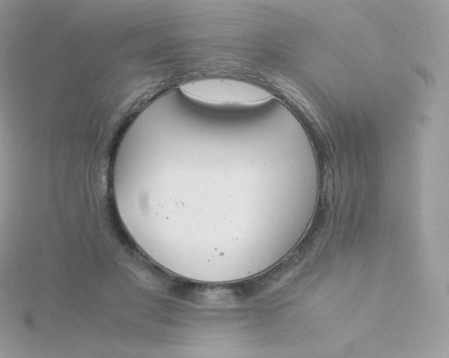 X0000115840501200911271224