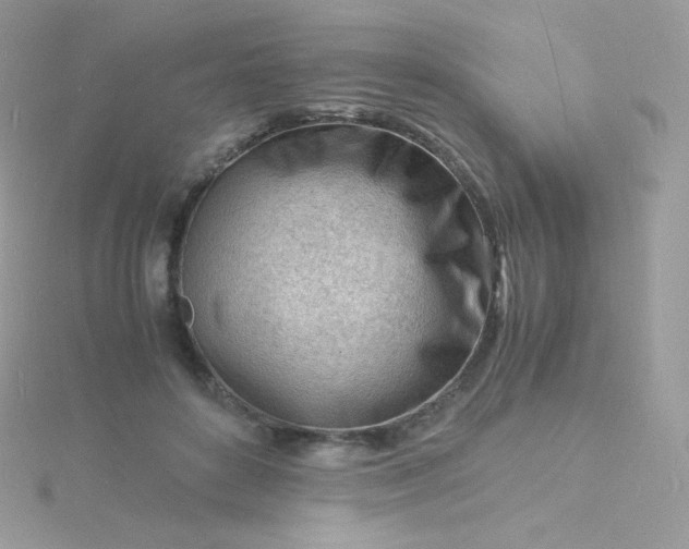 X0000115840504200911271224