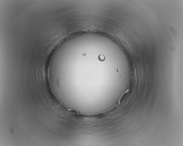 X0000115840508200911271223